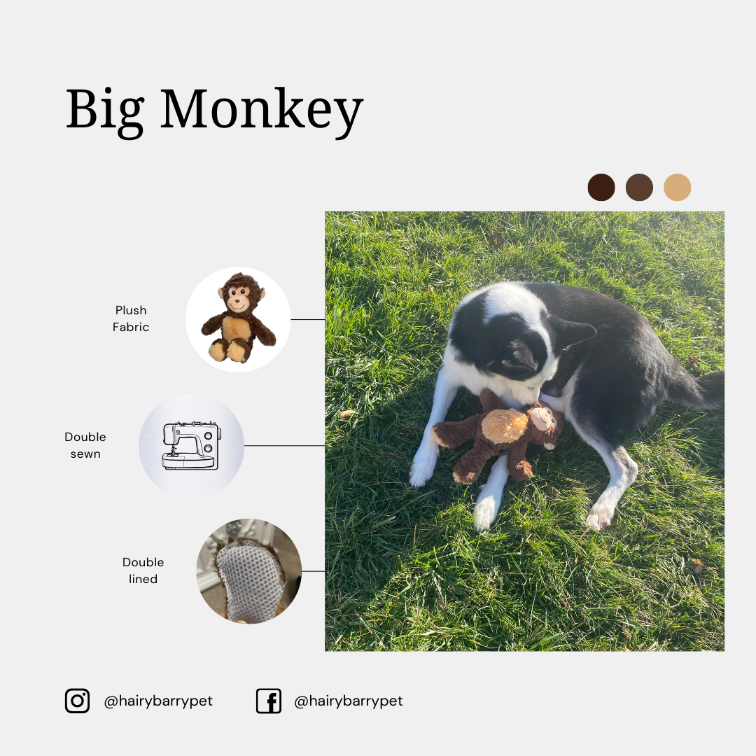 Big Plush Monkey