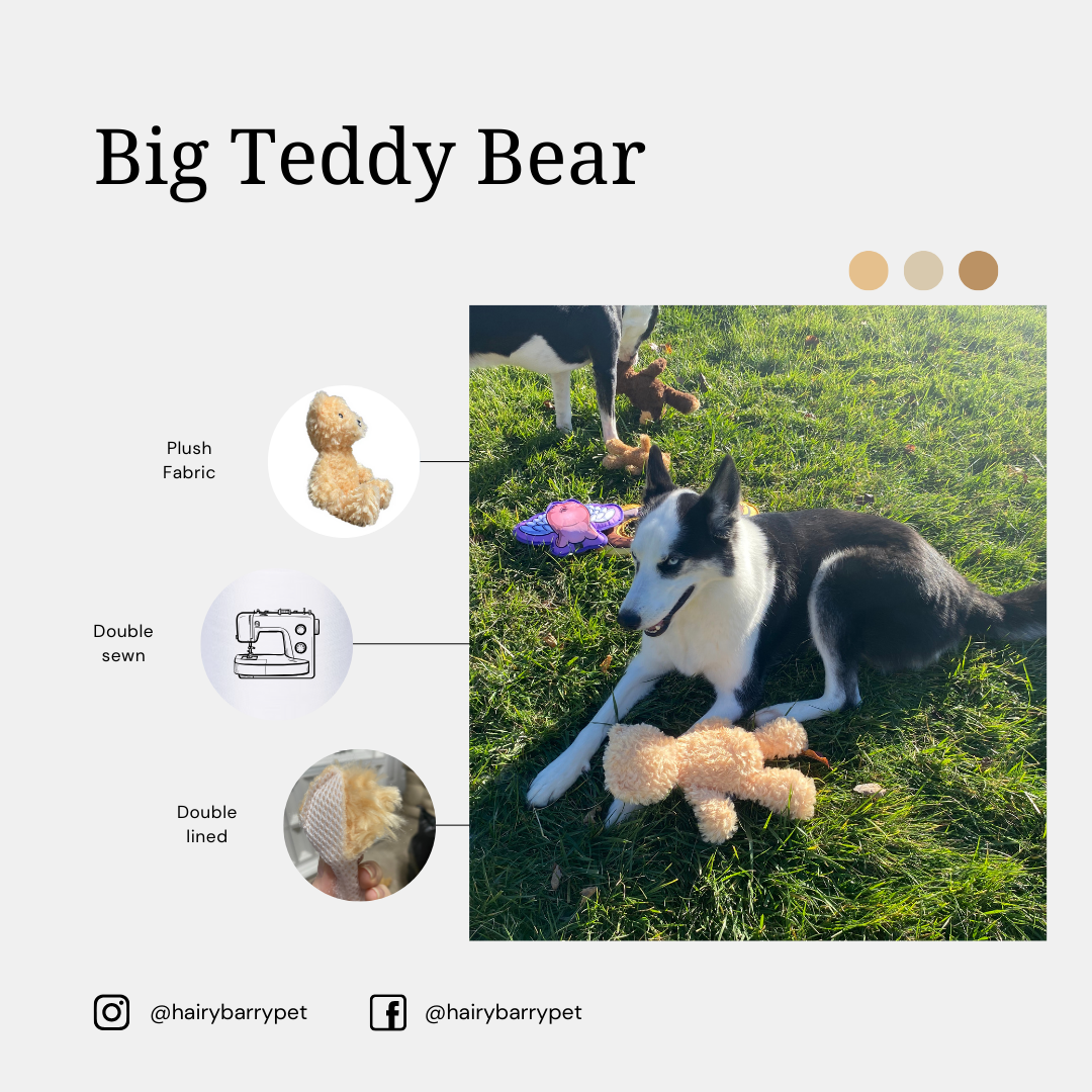 Big Plush Ted