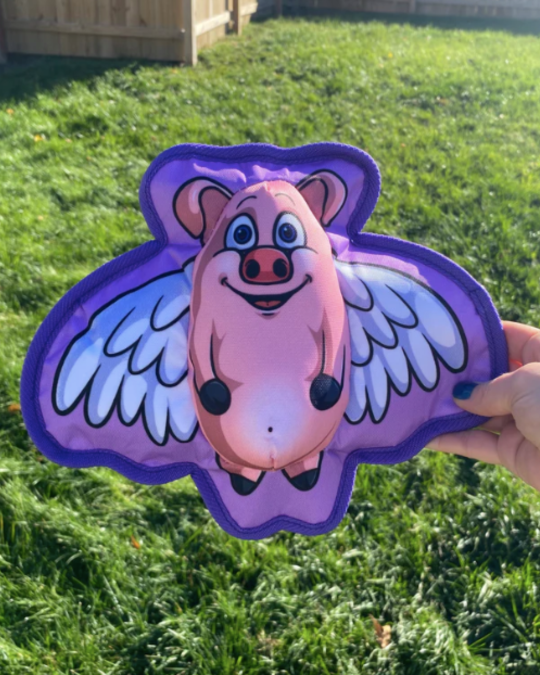 When Pigs Fly