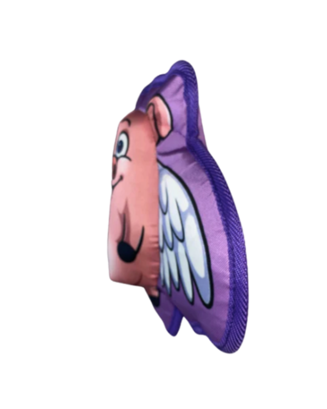 When Pigs Fly