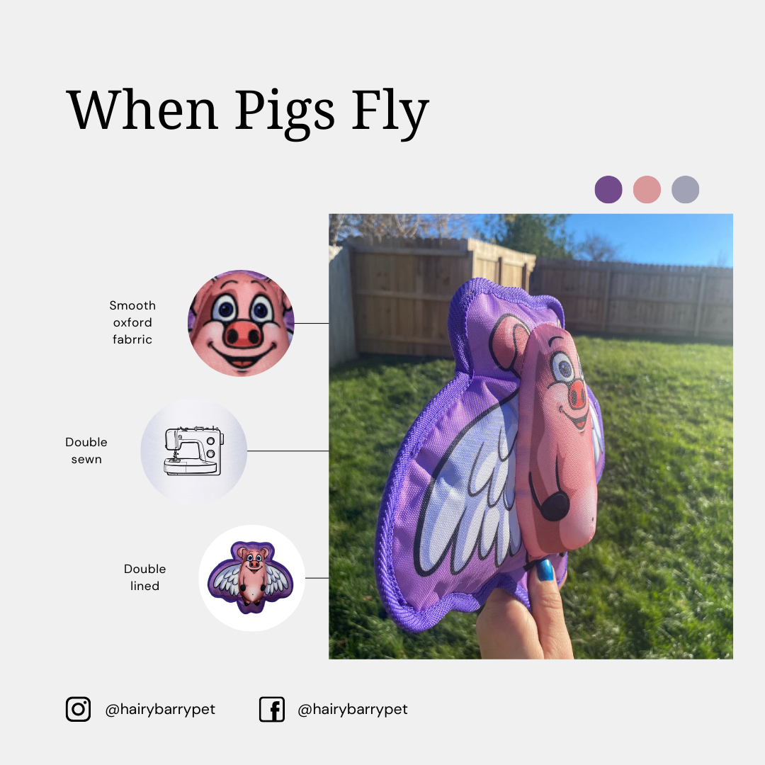 When Pigs Fly