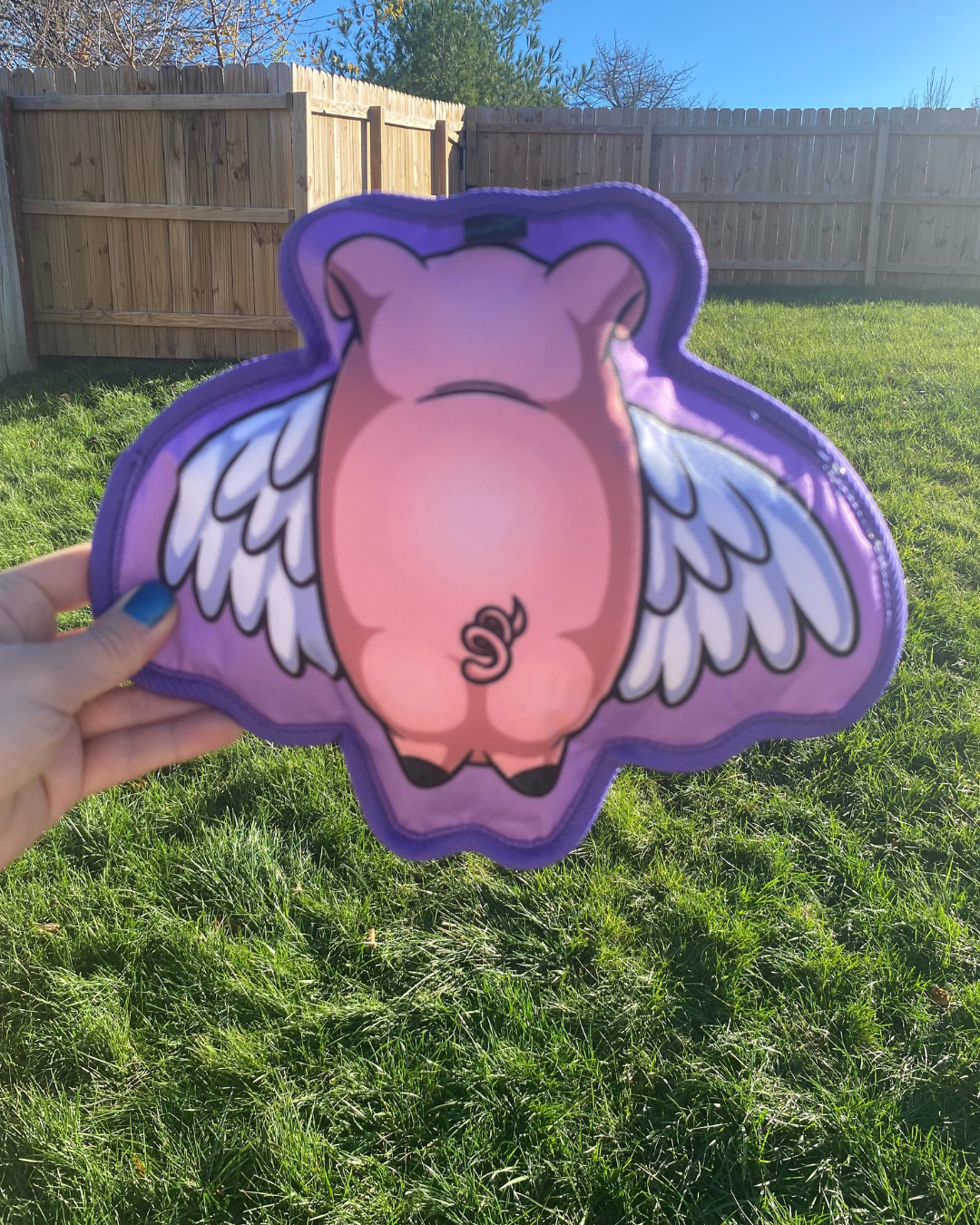 When Pigs Fly