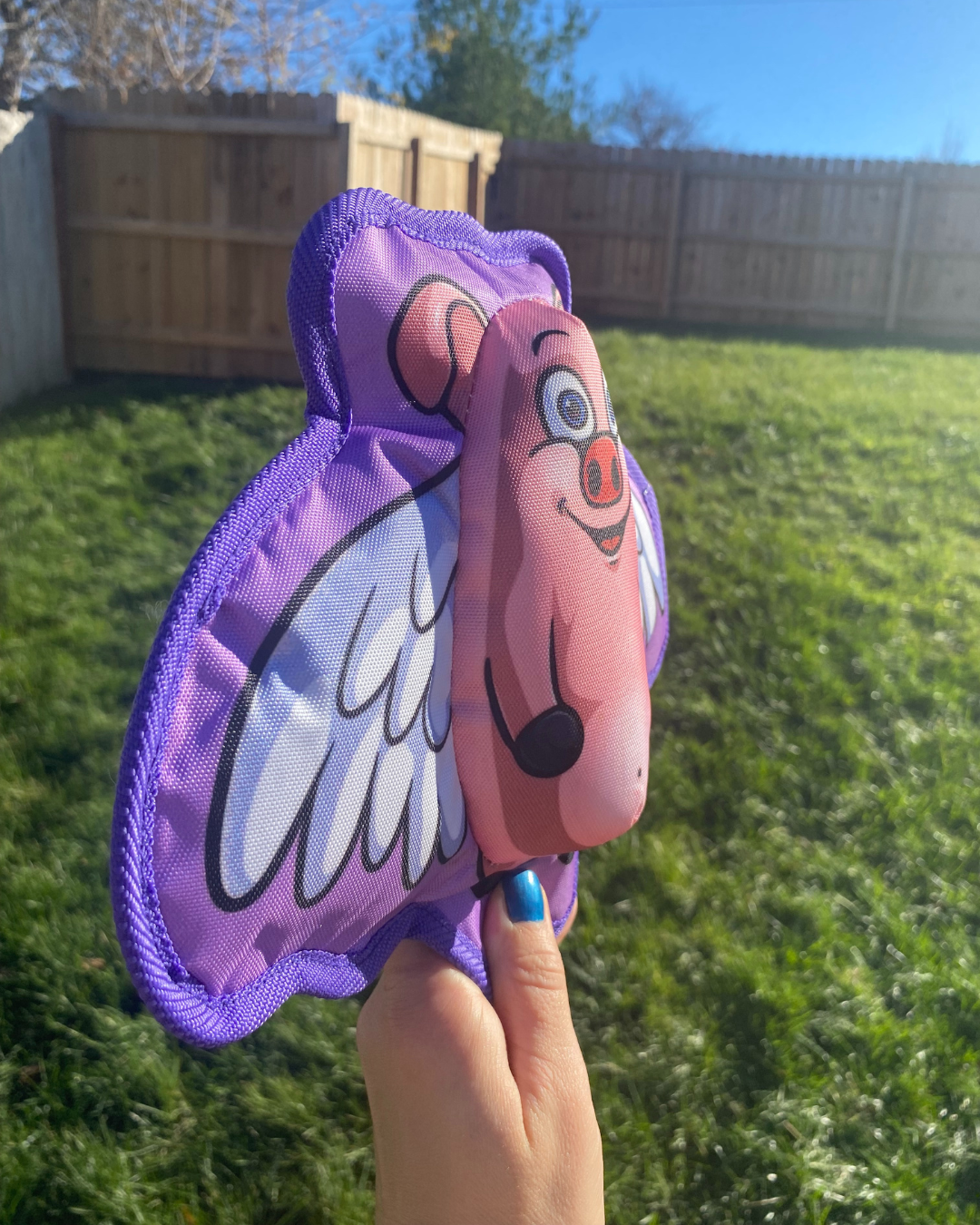 When Pigs Fly