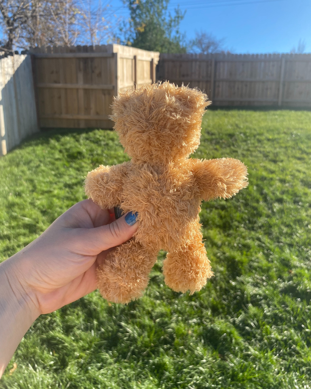 Lil Plush Ted