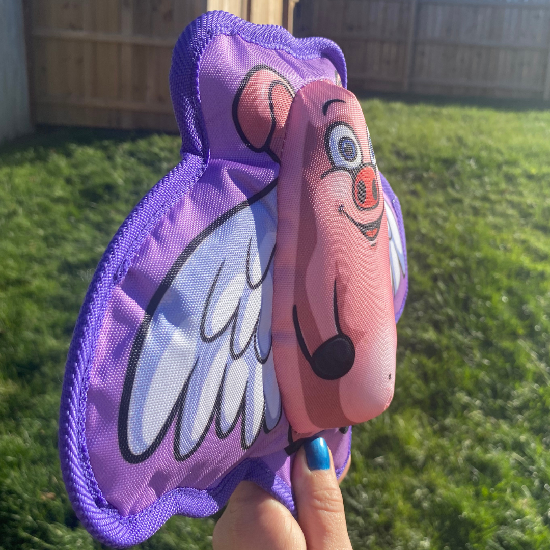 When Pigs Fly