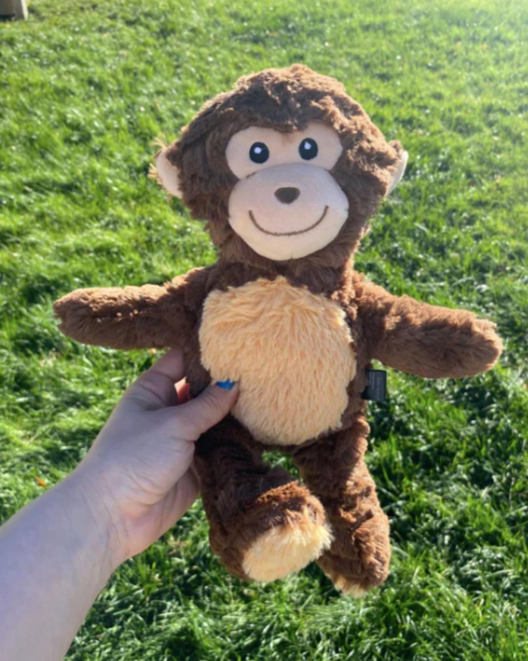 Big Plush Monkey