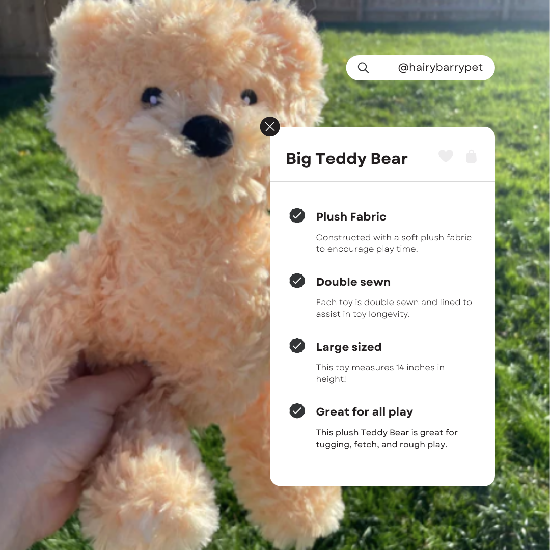 Big Plush Ted