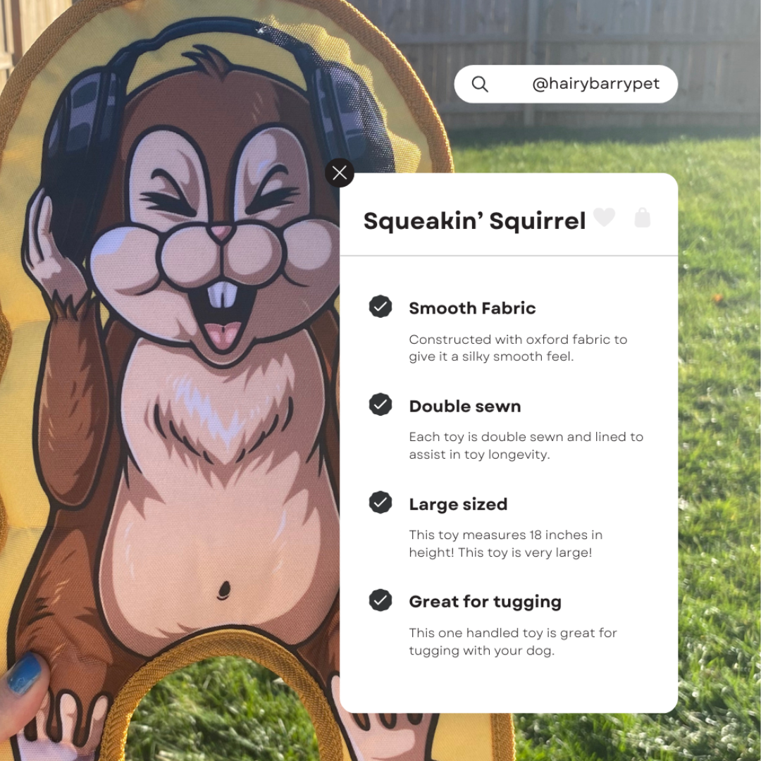 Squeakin' Squirrel