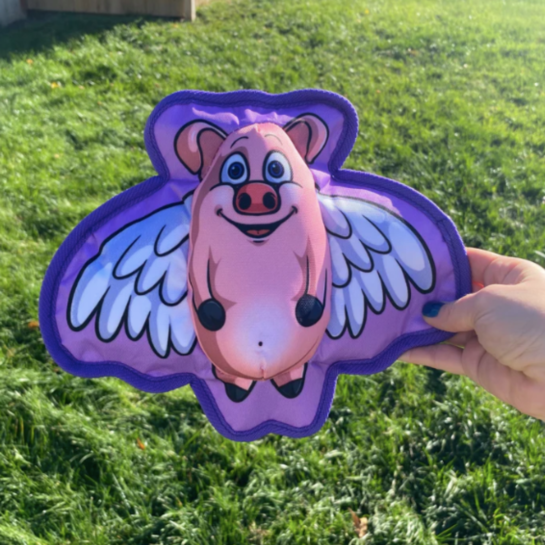 When Pigs Fly