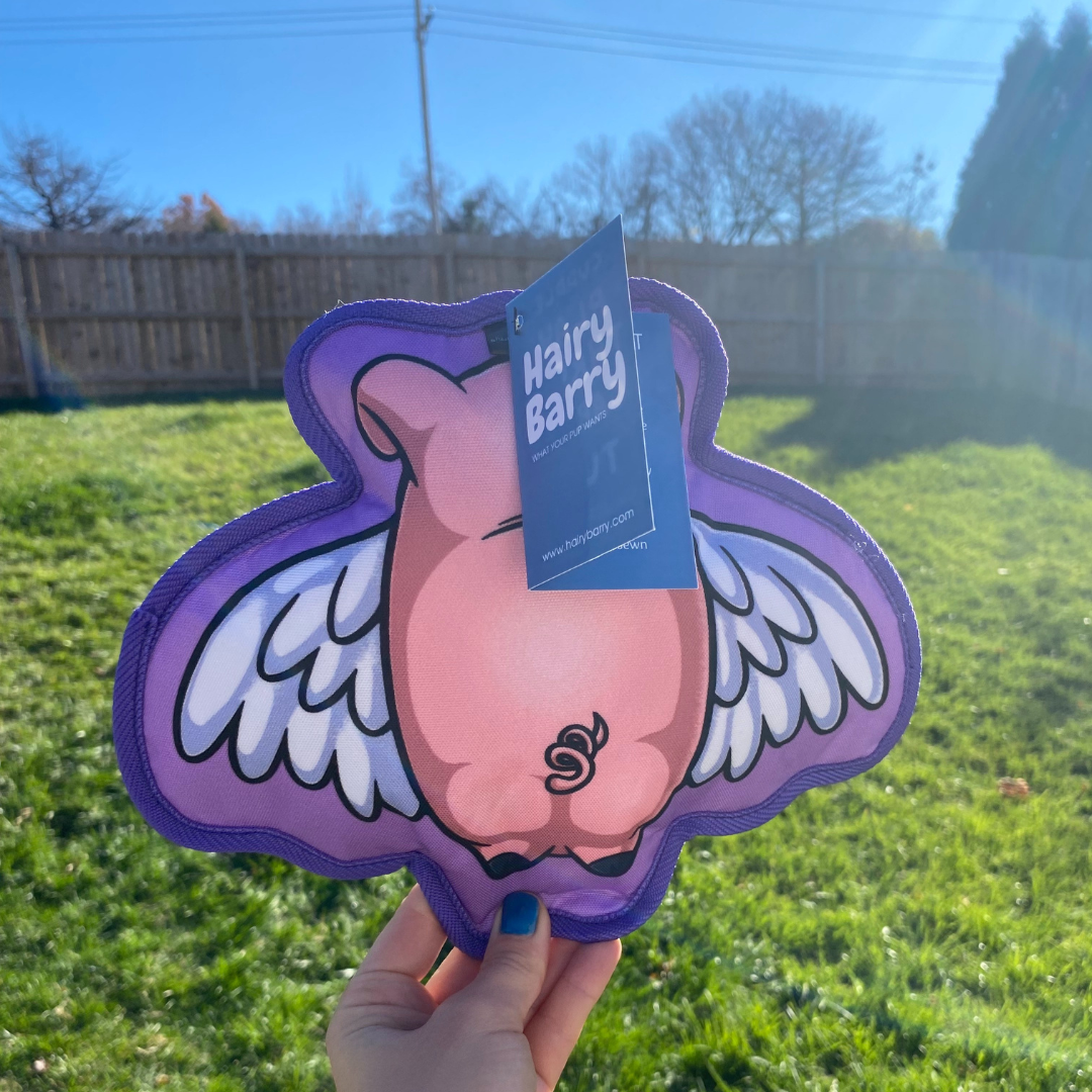 When Pigs Fly