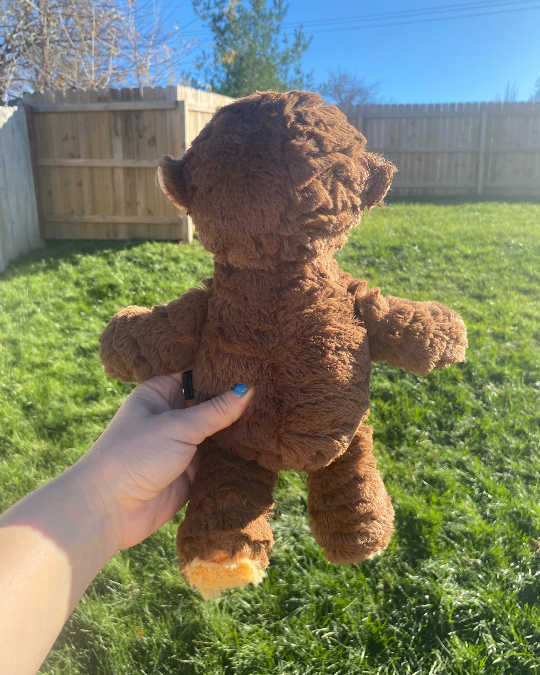Big Plush Monkey