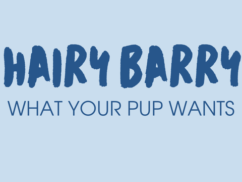 Hairy Barry